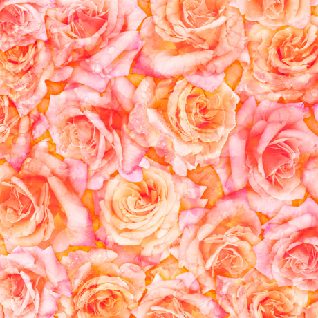 MINKY PRINTS             